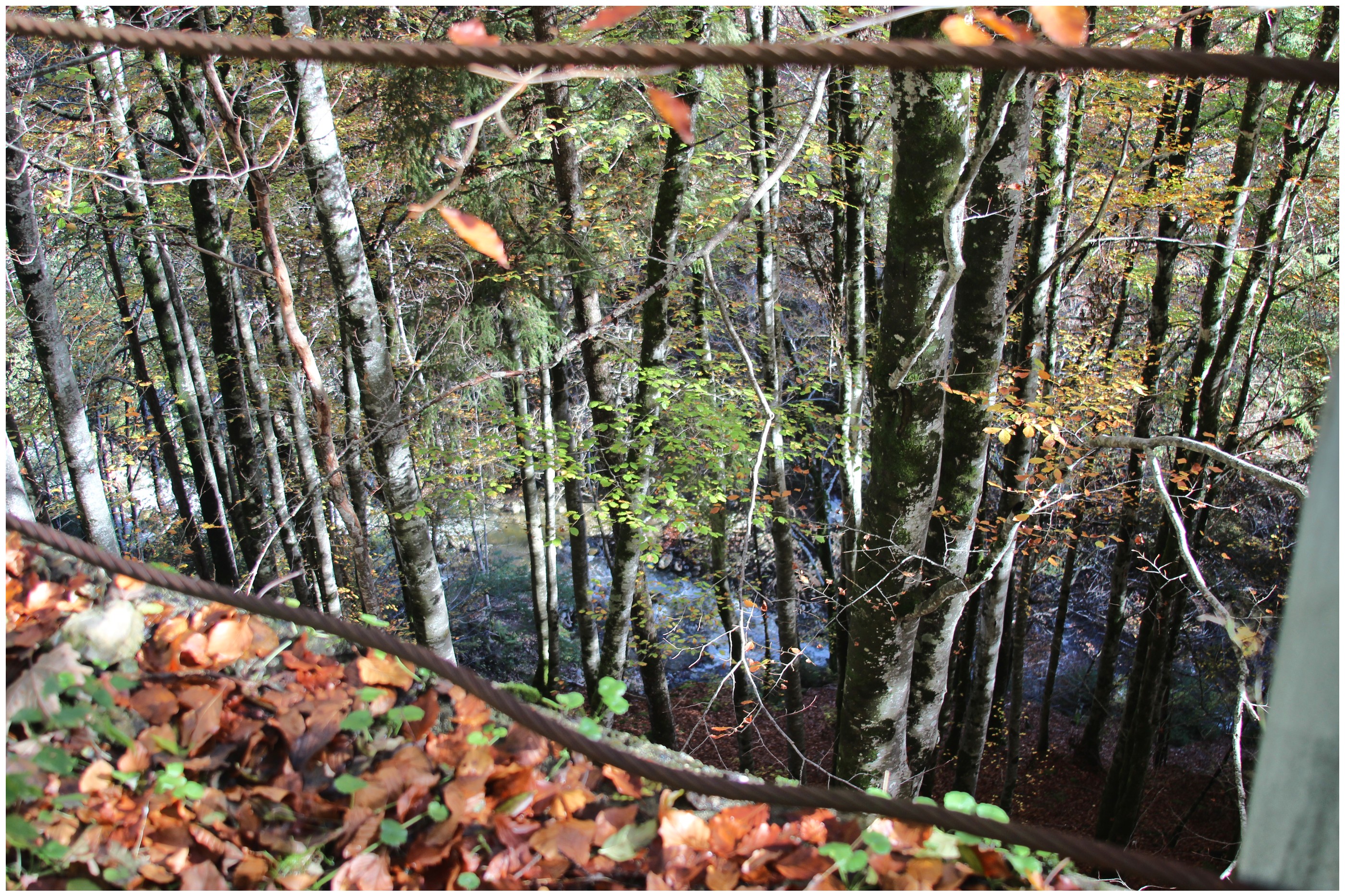 Route abandonnée 10